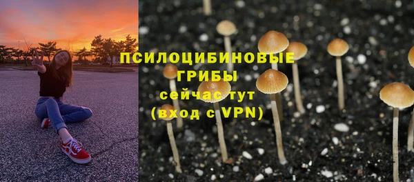 бошки Беломорск