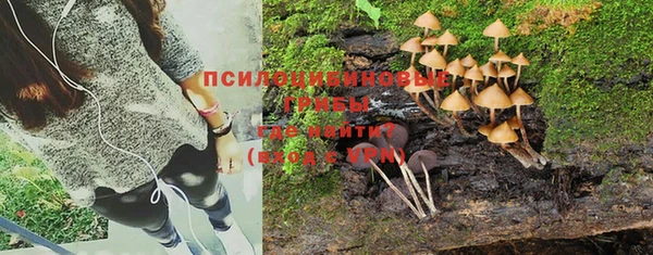 бошки Беломорск