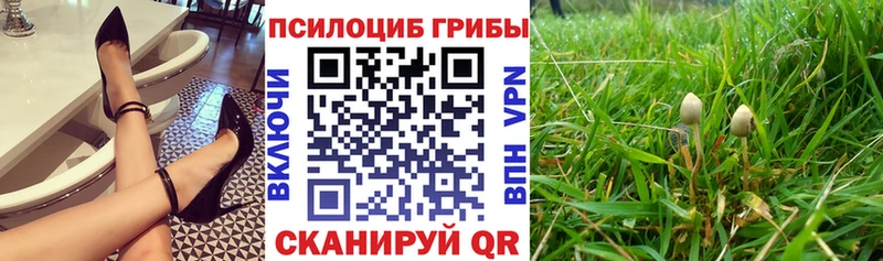Псилоцибиновые грибы Psilocybine cubensis  где купить наркоту  даркнет официальный сайт  Михайлов  blacksprut вход 